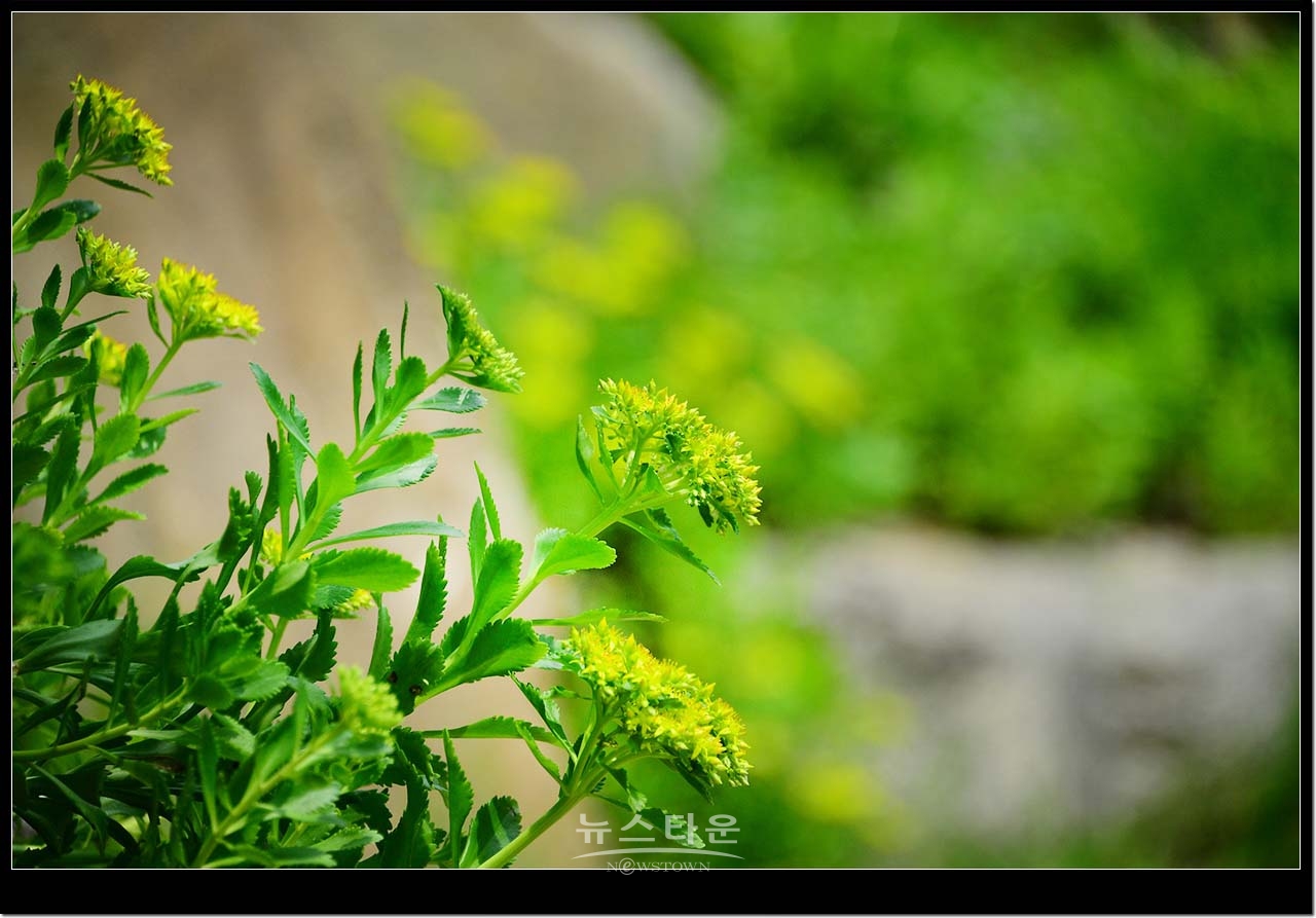 수목원의 아름다운풍경