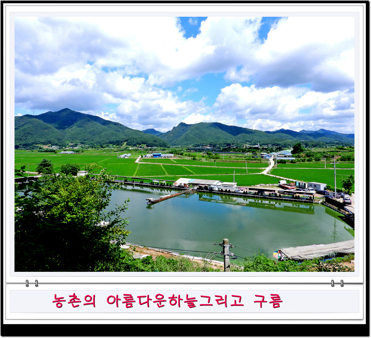 비온뒤 깔끔한 하늘과 농촌풍경비가 오고 난 뒤면 농촌의 하늘을 자랑한다.