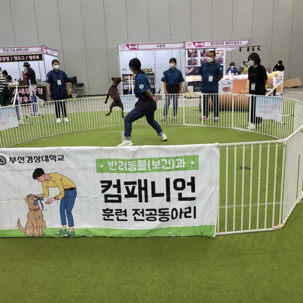 부산경상대학교 반려동물보건/산업과 훈련동아리