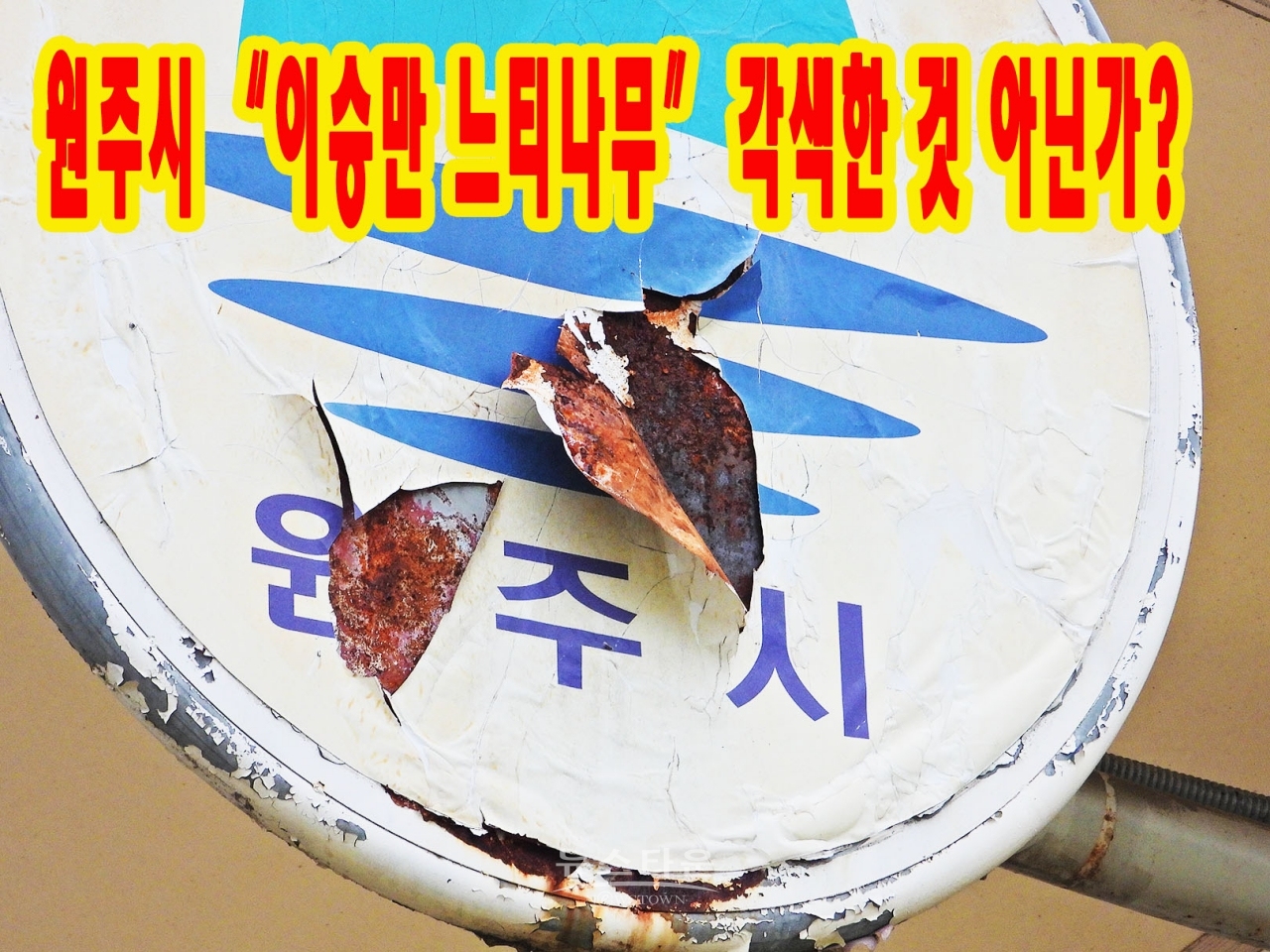 문막지서 옛터 이승만 대통령 느티나무
