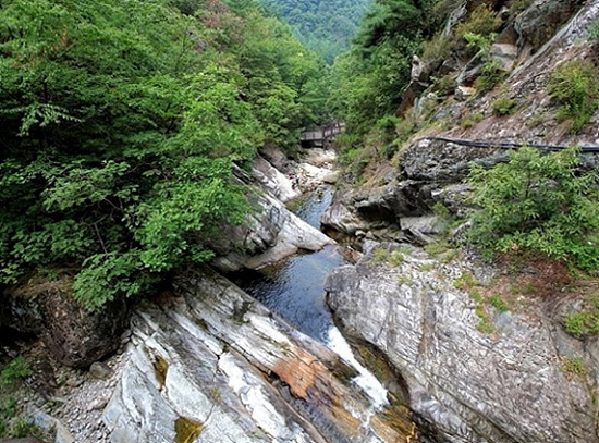 산림청은 5개소의 명품 계곡을 추천했다(사진=산림청)