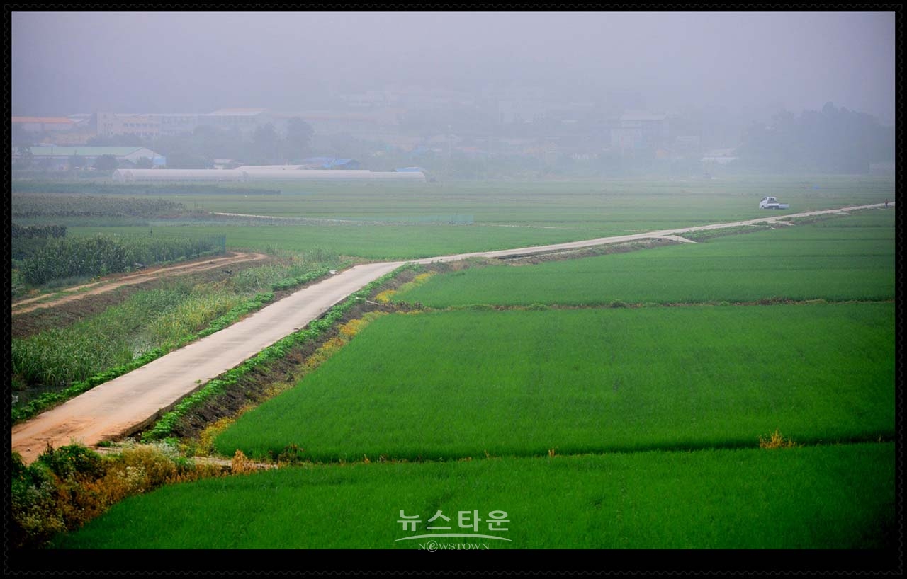 새벽에 만나는 반가운 여러가지