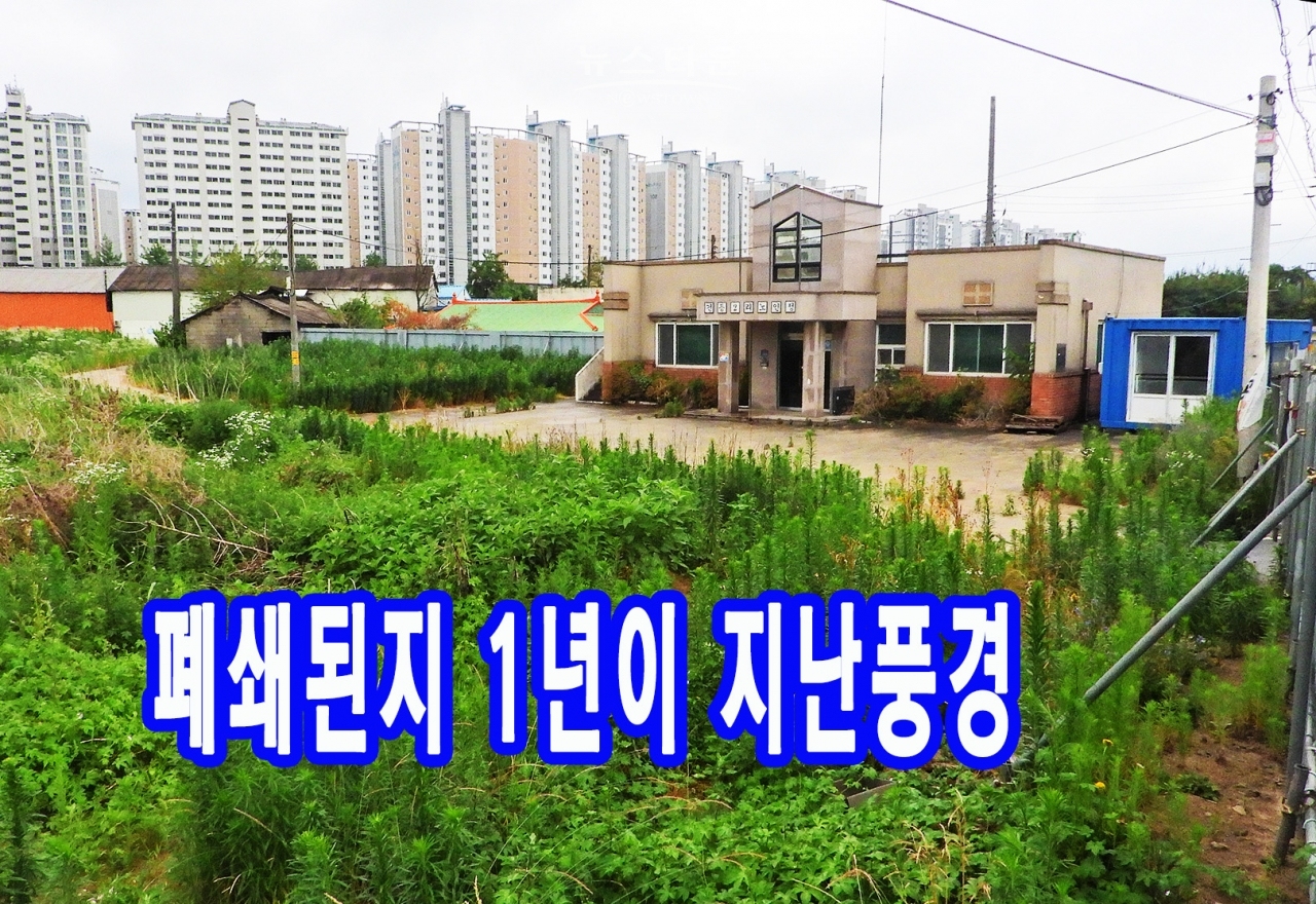건등2리 노인정폐쇄1년