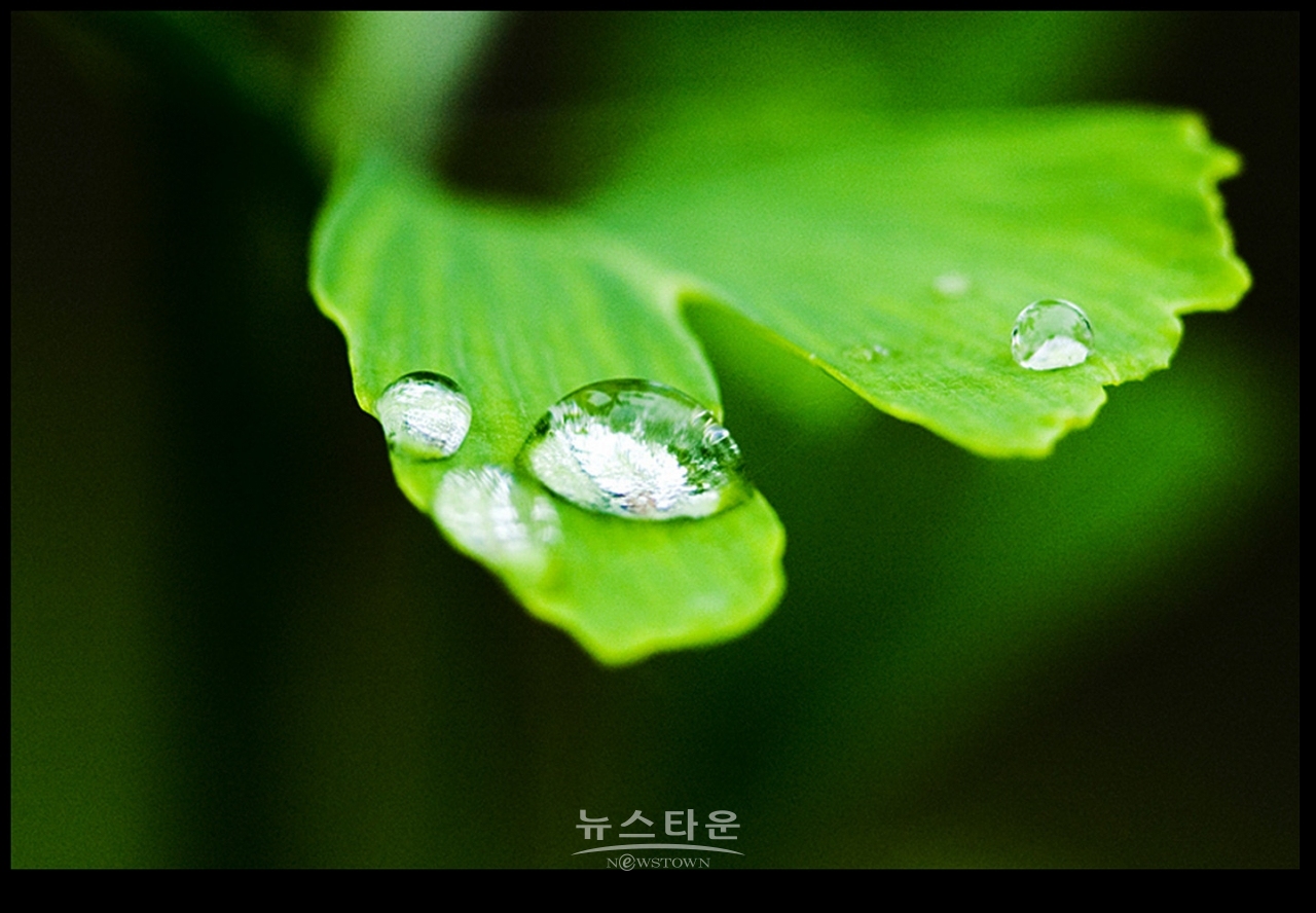 빗방울이 만든 아트전시회