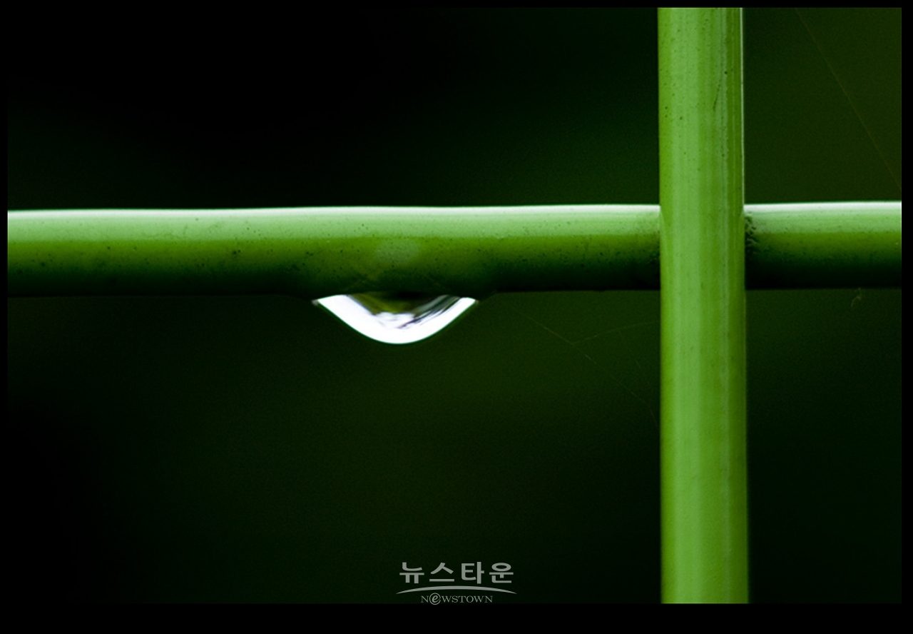 빗방울이 만든 아트전시회