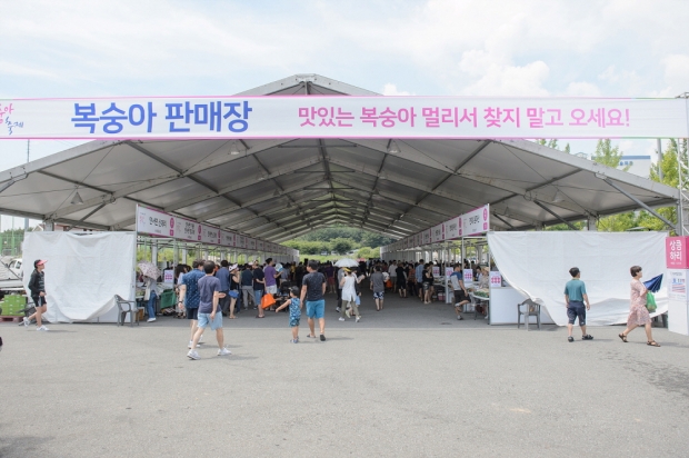 복숭아축제(2019)