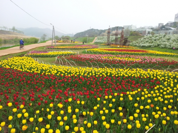 정안천변