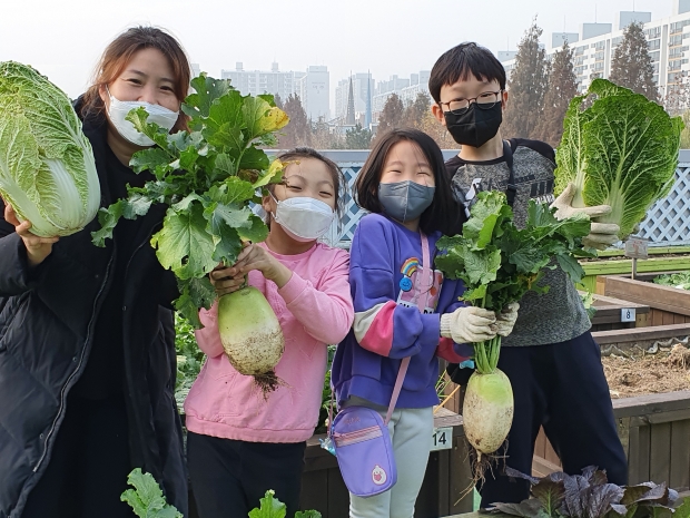 지난해 옥상 텃밭 사진