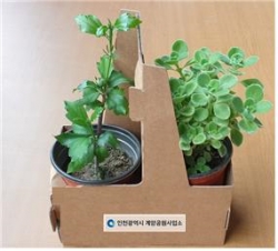 무료 나눔 묘목 샘플