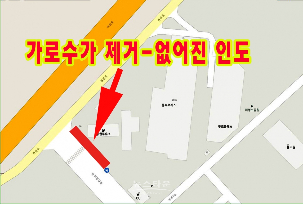 주유소 앞 4차선 도로 인도에 심어져 있던 가로수가 훼손되었다.