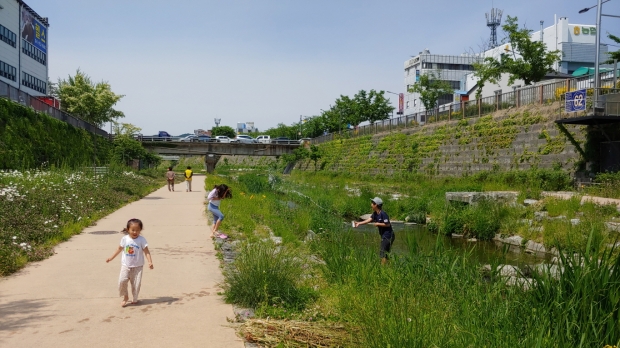 대상을 차지한 '물장구'