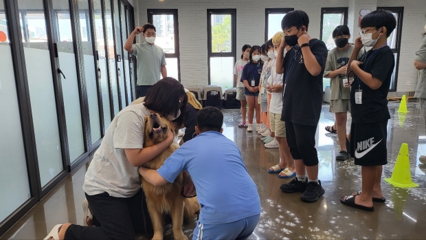 청진기를 이용하여 반려동물 심장소리를 직접 듣는 실습