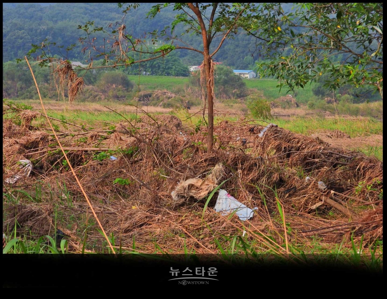 원주섬강 장마가 지나간 후 장면