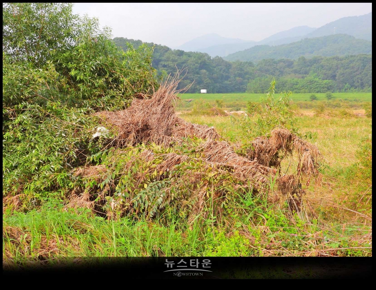 원주섬강 장마가 지나간 후 장면
