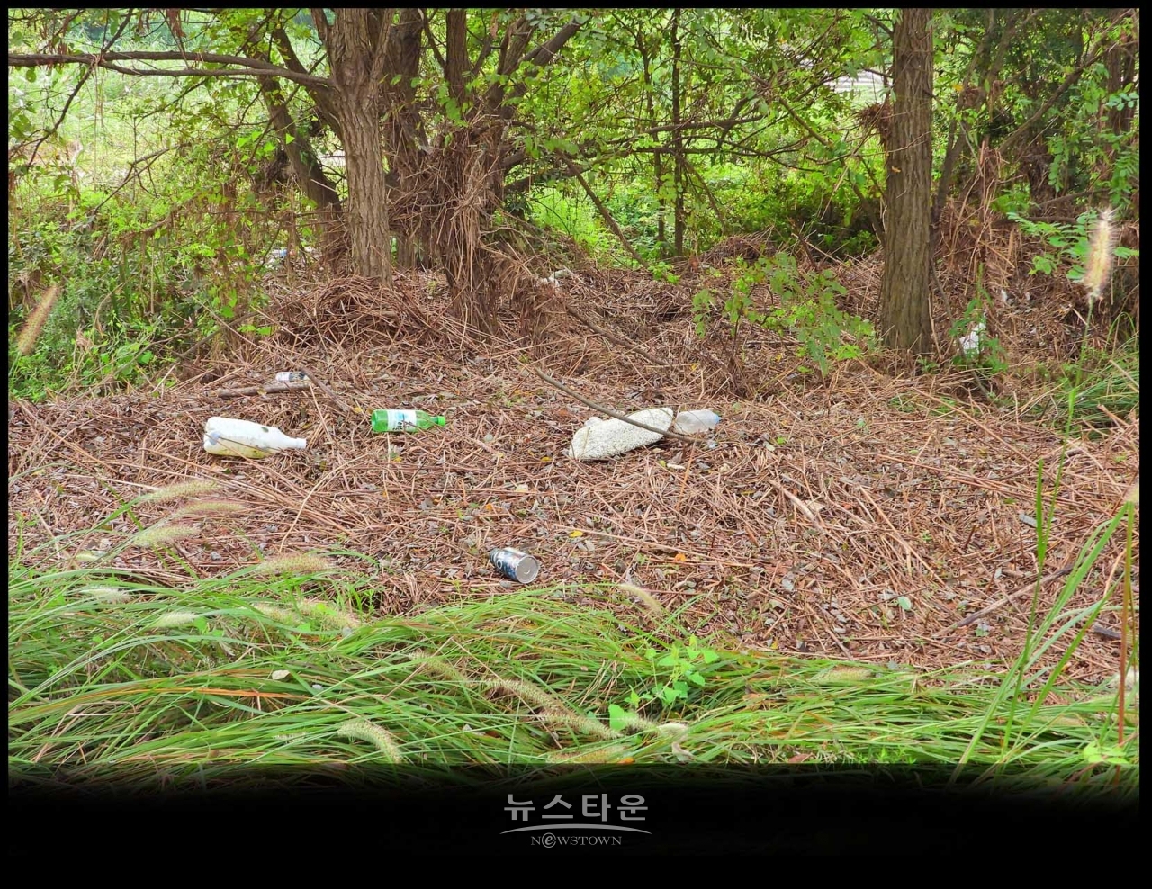 원주섬강 장마가 지나간 후 장면