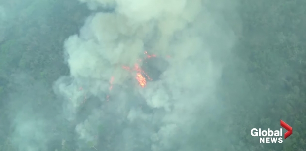 불타는 아마존 유역 / 사진 : 뉴스사이트 비디오 캡처
