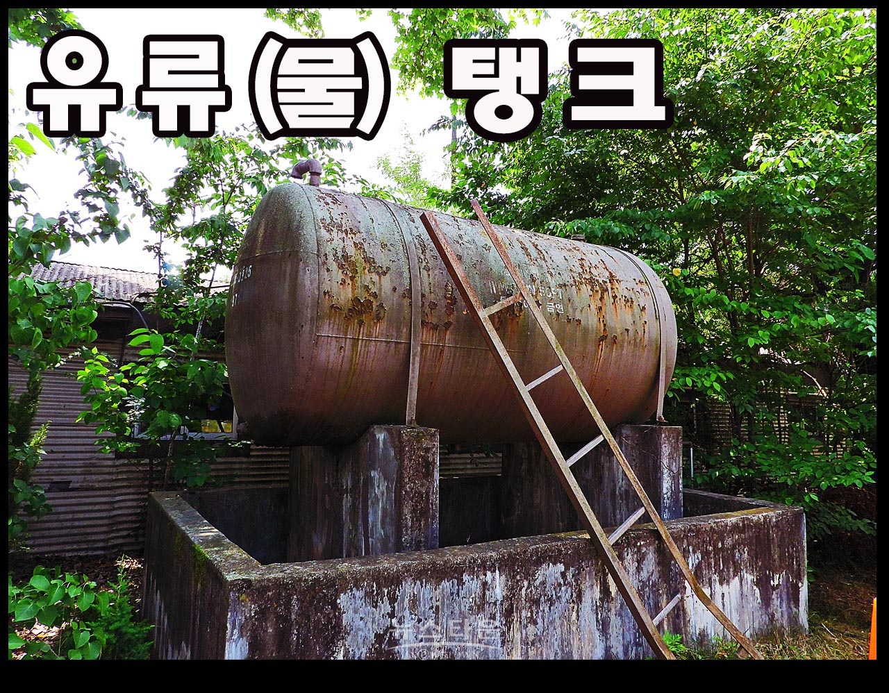 캠프 롱 내에 존치되고 있는 나무, 시설물 관련사진