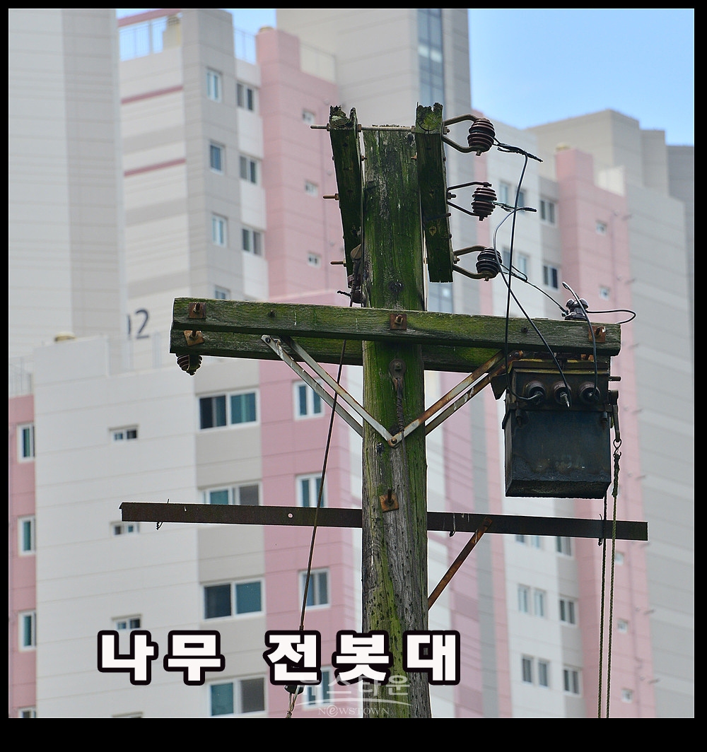 캠프 롱 내에 존치되고 있는 나무, 시설물 관련사진