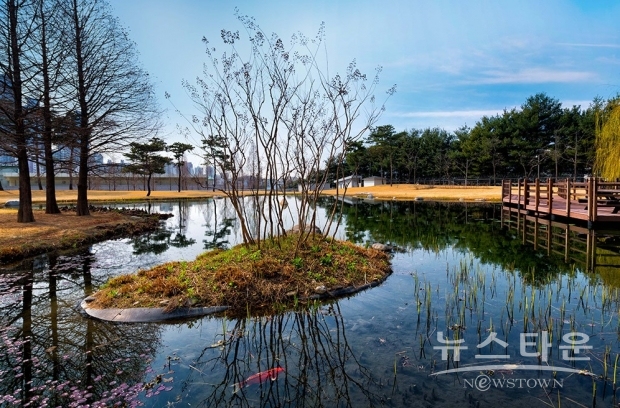 삼성전자가 15일 ‘신(新)환경경영전략’을 발표했다. 사진은 삼성전자 화성 사업장 ‘그린센터’를 통해 정화된 물로 조성한 연못 모습. / 사진 : 삼성전자