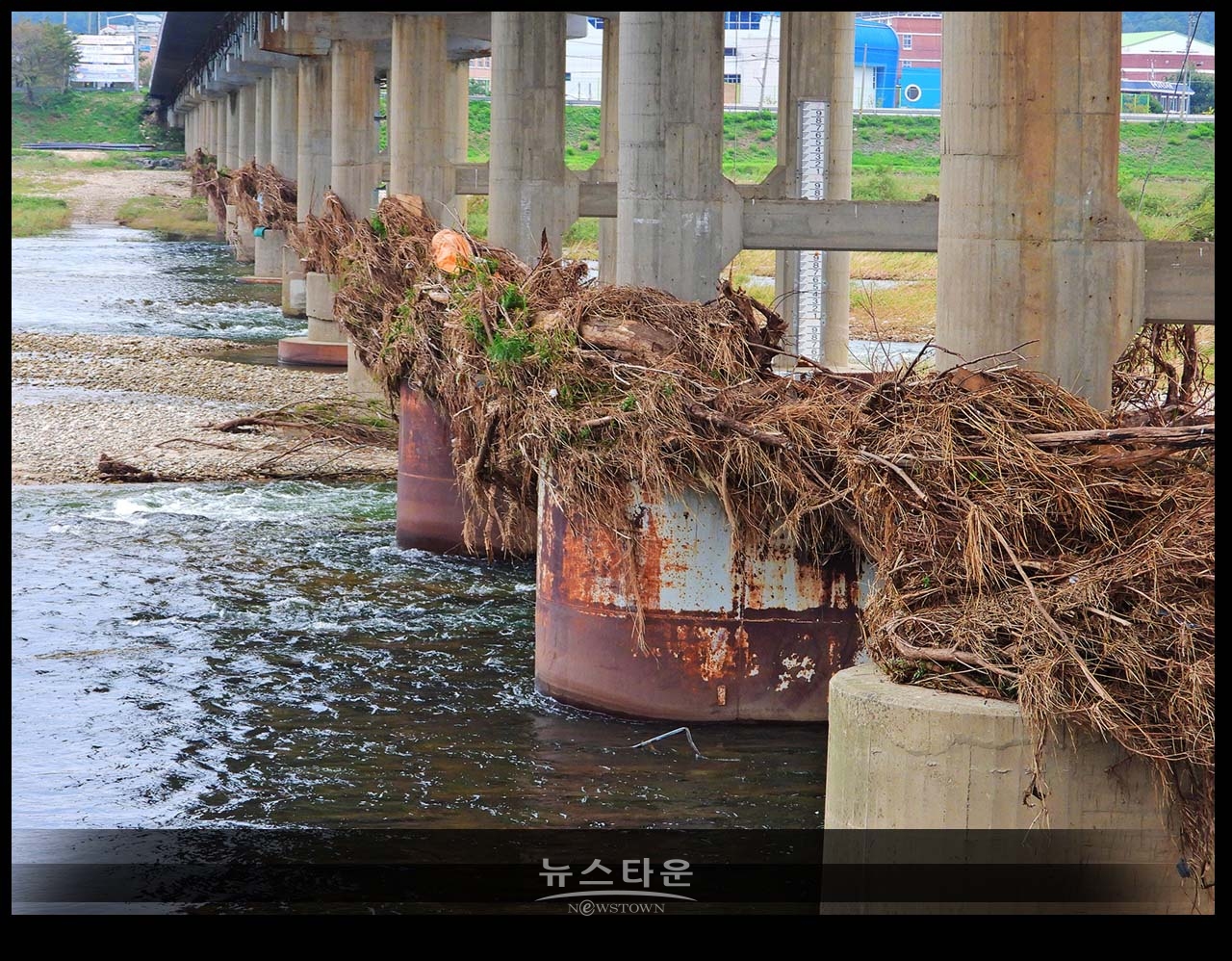문막교 교각이 장마 잔해물의 적재장인가?