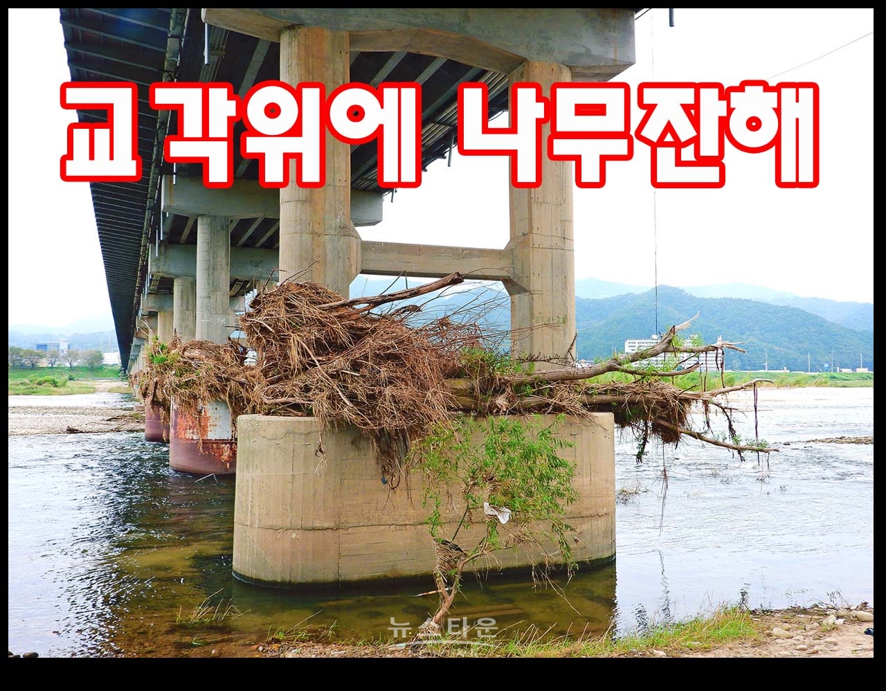 문막교 교각이 장마 잔해물의 적재장인가?