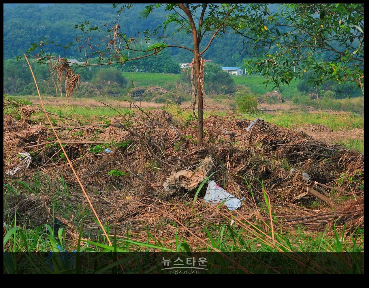 문막섬강 고수부지에 널부러진 장마잔해들
