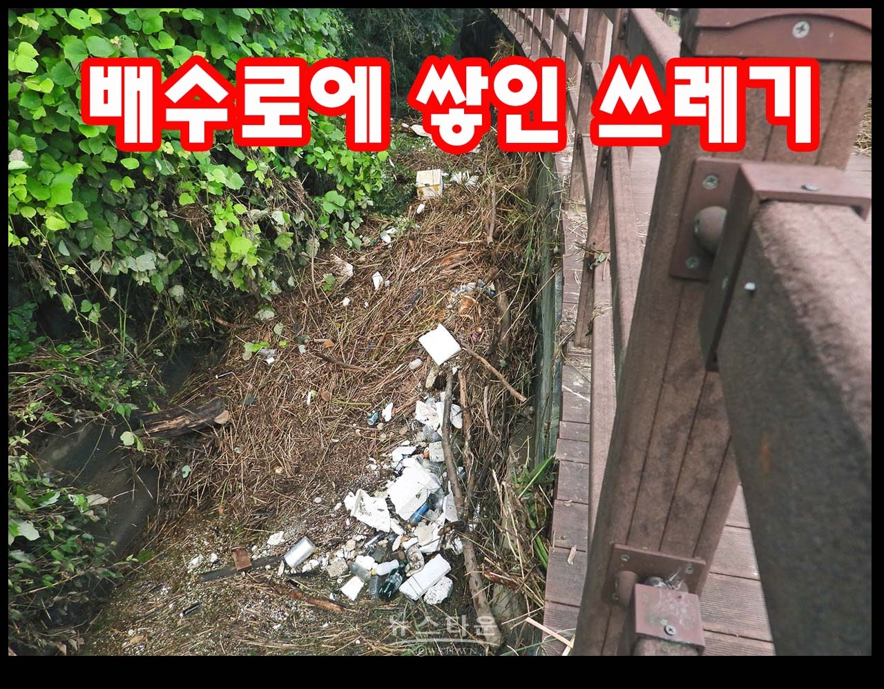 섬강 자전거도로에도 장마잔해물과 쓰레기들이 있다