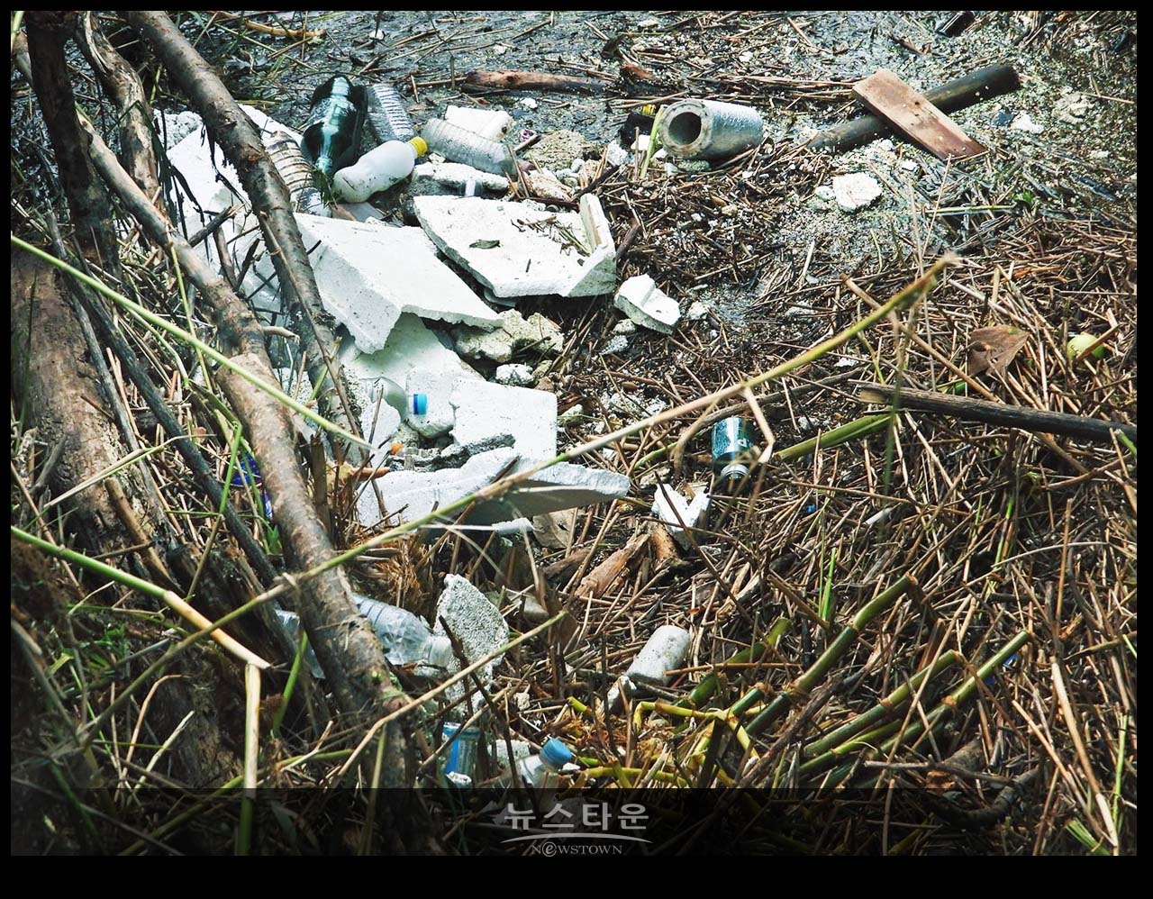 섬강 자전거도로에도 장마잔해물과 쓰레기들이 있다