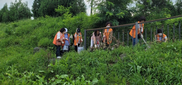 범안동나눔터리더 역곡천 환경정화 활동
