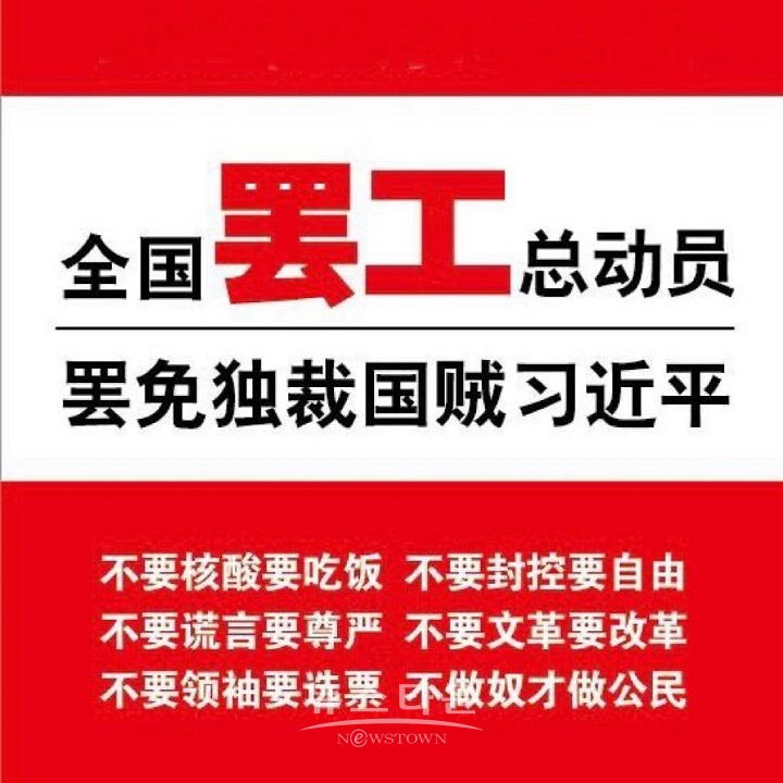 전국 파업 총동원/독재 국가반역자 시진핑 파면/PCR말고 밥/봉쇄말고 자유/헛소리말고 존엄/문화혁명말고 개혁/영도자말고 투표/노비말고 국민