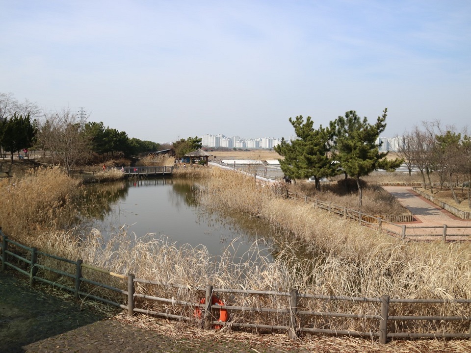 인천소래습지생태공원(출처:인천)