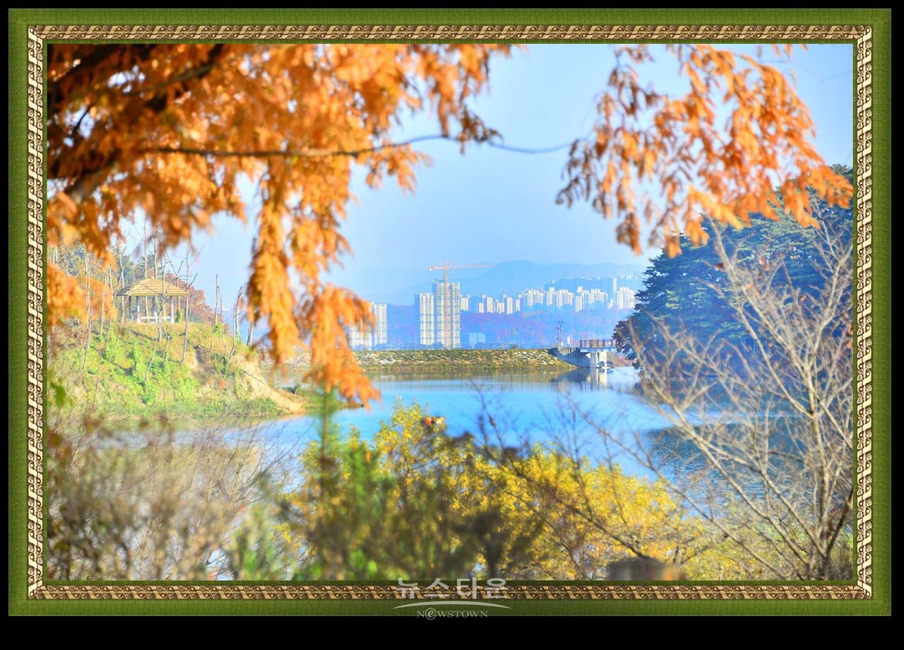 연세대 미래캠퍼스의 가을풍경