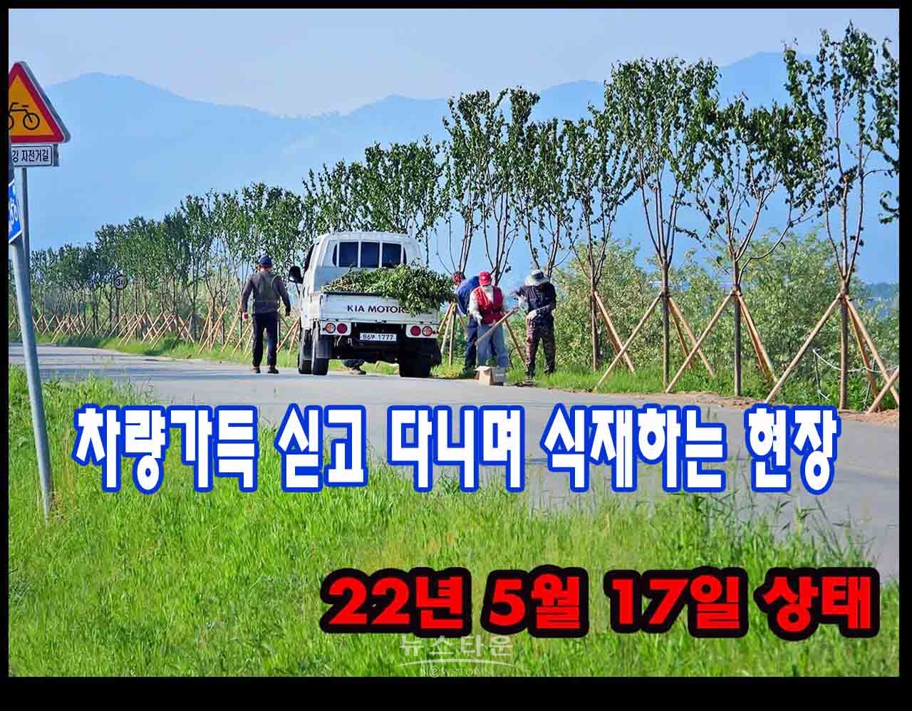 지난 5월 나무심는 작업현장과 나무를 심을제방의 토지상태, 나무가 자랄수 없는 토양의 상태로 보인다.