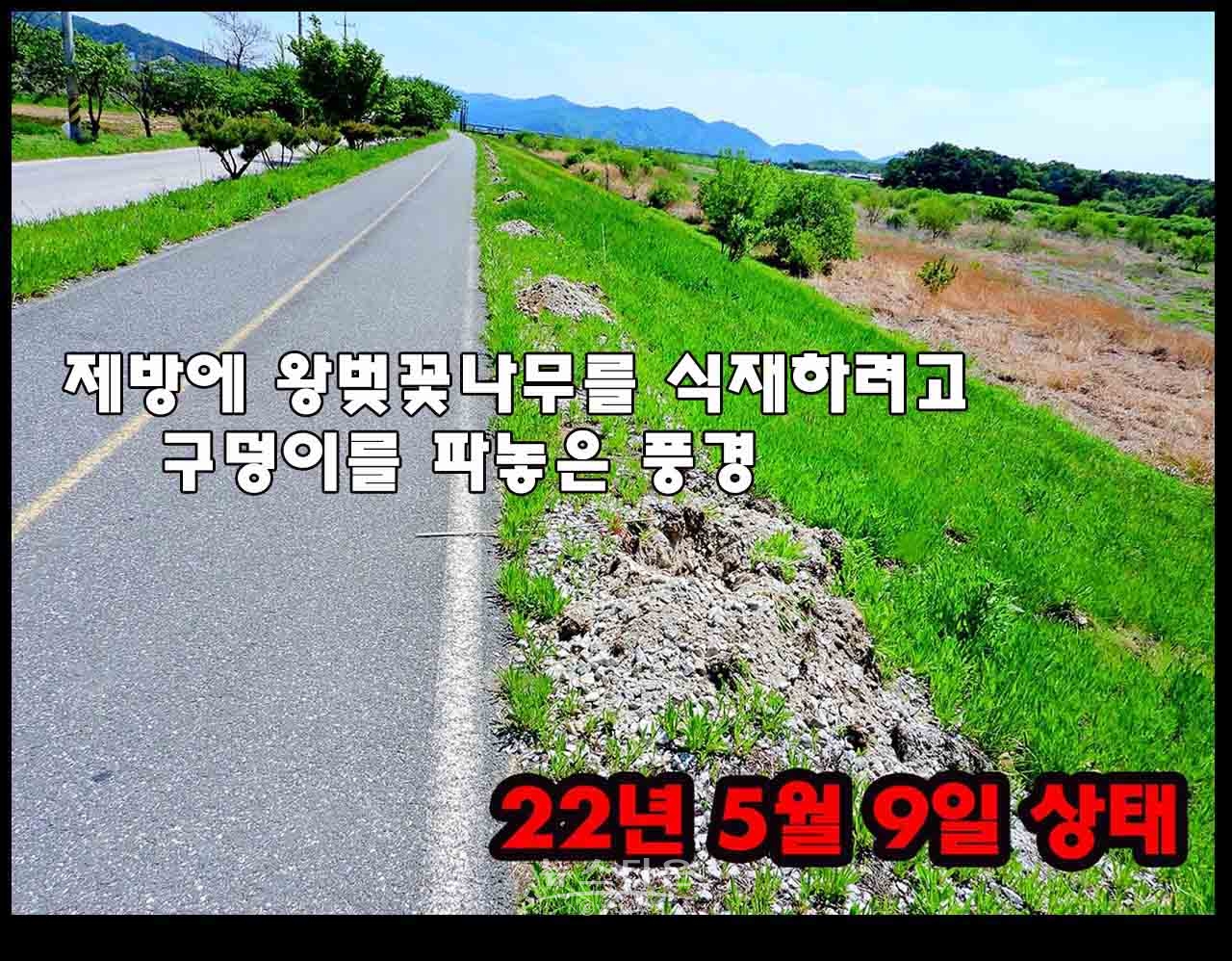 지난 5월 나무심는 작업현장과 나무를 심을제방의 토지상태, 나무가 자랄수 없는 토양의 상태로 보인다.