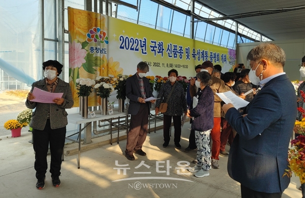 충남산 절화국화 신품종 육성 계통 품평회