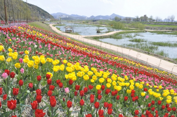 정안생태공원