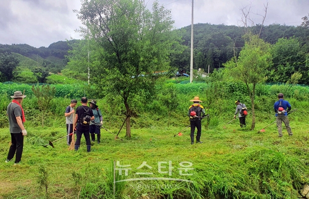 실개천 살리기 범시민운동