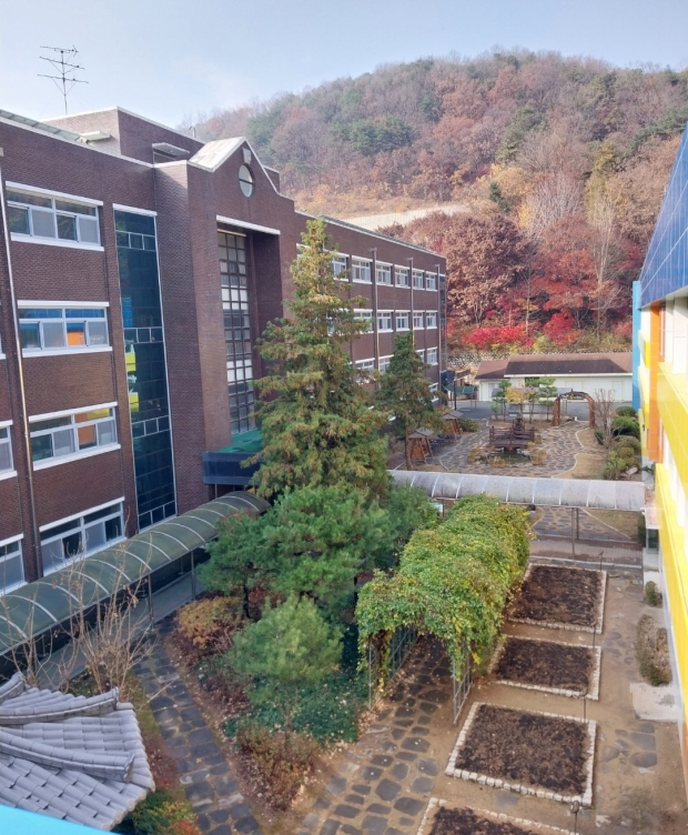공주시가 공주교대부설초에 조성한 학교숲