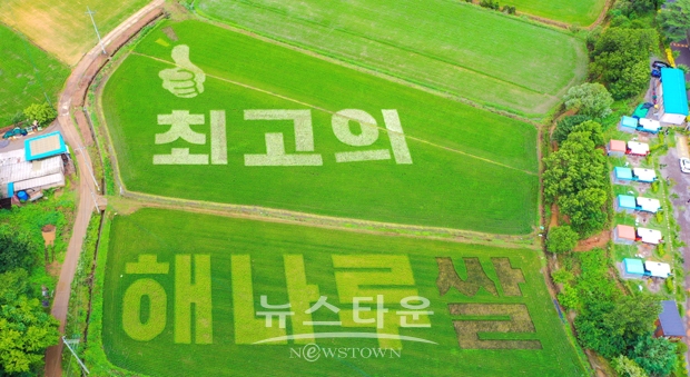 논 그림