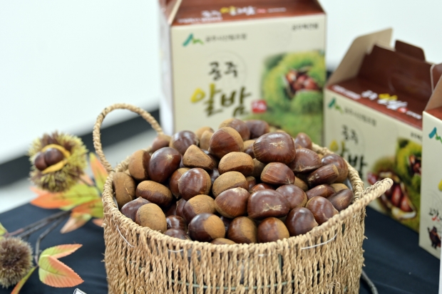 답례품 공주알밤