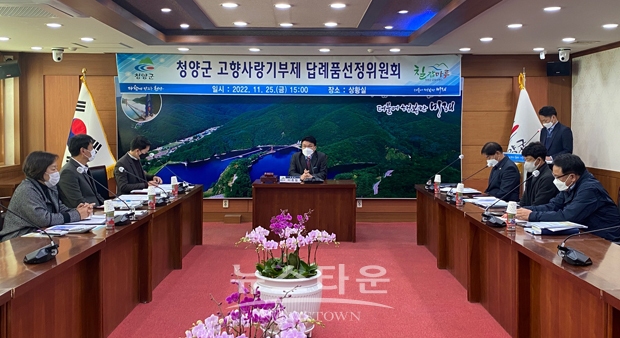 고향사랑기부제