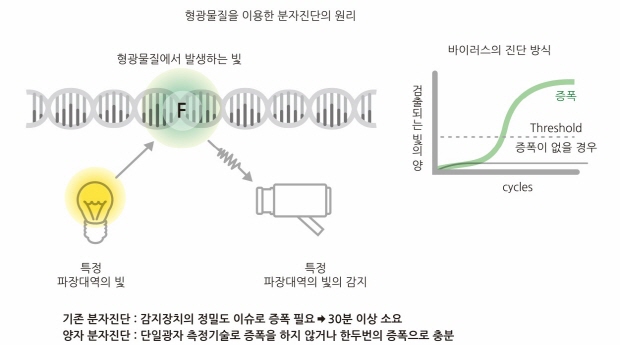 기존 PCR진단과 양자 분자 진단 기술의 차이점