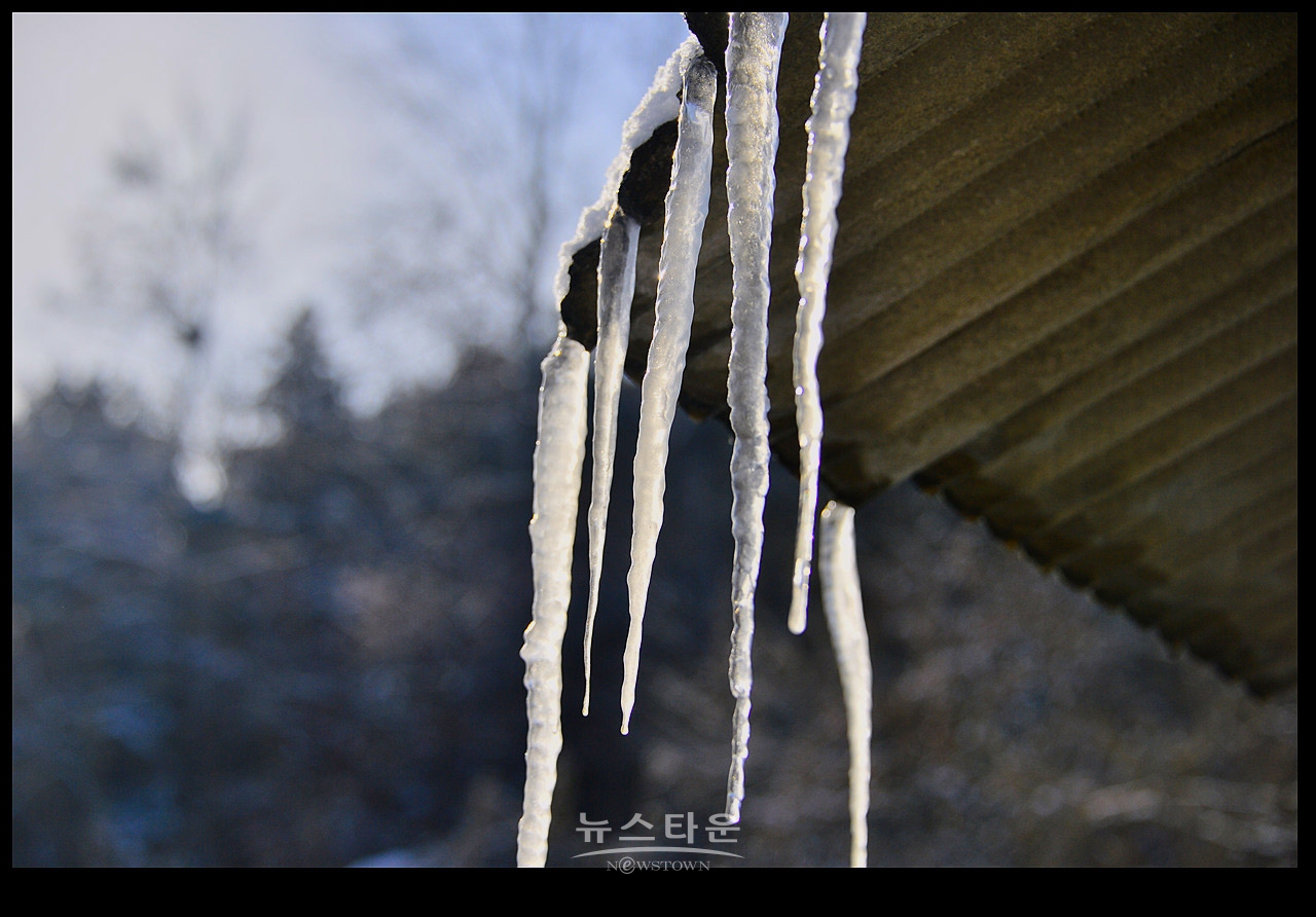 고드름이 열렸어요