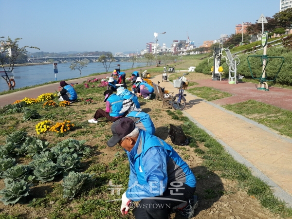2022년 노인일자리사업 활동