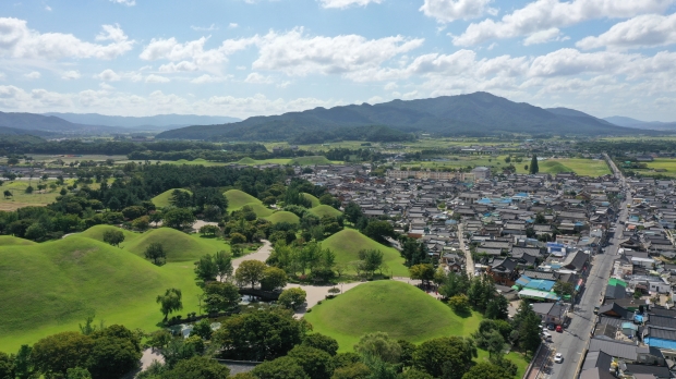 대릉원 전경