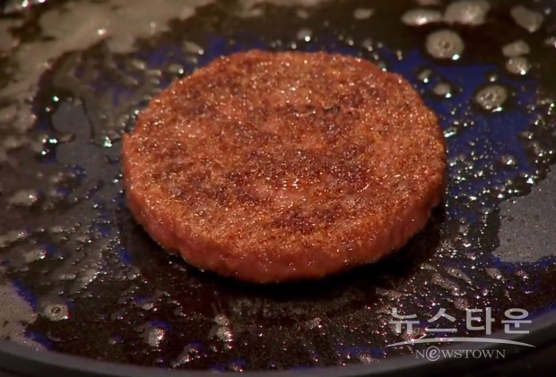 배양육(Cultured Meat) / 사진 : 위키피디아