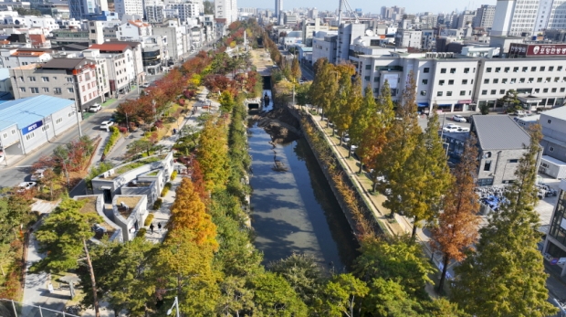 포항 철길숲