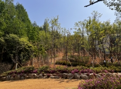 맑은내 바람길 숲