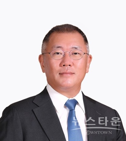 정의선 회장