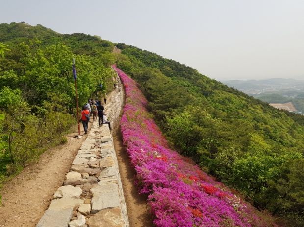 숲길(문수산)